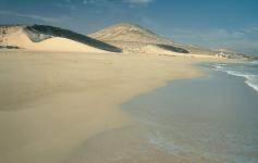 ©WWF España